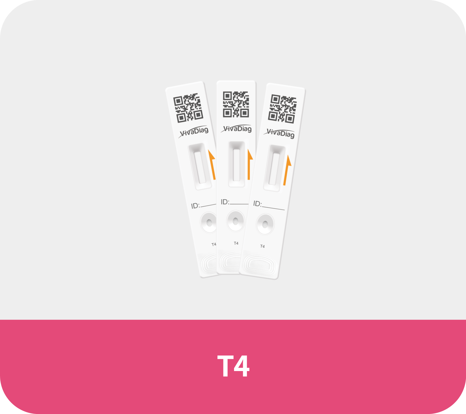 T4